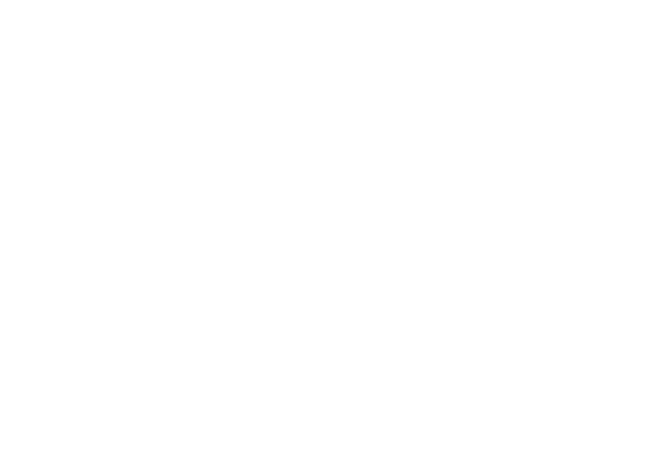 Logo white